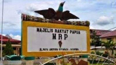 Provinsi Papua Pegunungan akan punya 42 Orang Anggota MRP