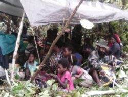 Selama tiga tahun, 307 orang tewas akibat konflik di Papua
