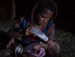 PBB serukan buka akses kemanusiaan mendesak ke Tanah Papua