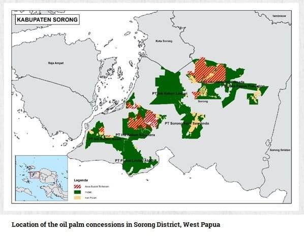 Hutan location-of-the-oil-palm-concessions-in-Sorong-District-West-Papua