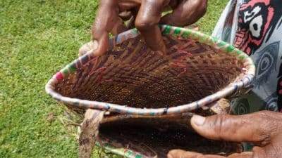 Terancamnya bahan kerajinan dan kekayaan obat tradisional di hutan adat Warbon
