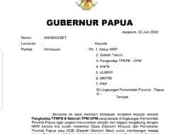 Jubir Sebut Surat Gubernur Papua Meminta TPNPB Turunkan Senjata Hoaks