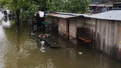 Rumah Warga di Distrik Dekai, Yahukimo Terendam Banjir