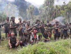 Label teroris pada OPM tak berhasil, kekerasan bersenjata di Papua terus meningkat