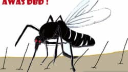 DBD Ilustrasi - Nyamuk pembawa virus DBD (ANTARANews/Handry Musa/Ferliansyah)