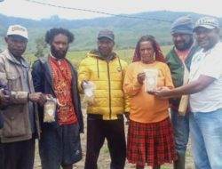 Kelompok Tani Janda Bersatu di Wamena Dapat Bantuan Bibit Kedelai dari Bank Papua