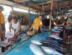Ekspor Ikan Tuna dari Biak ke Jepang meningkat Pekan Pertama September 2022