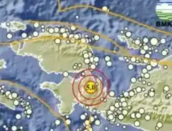 Gempa Bumi Magnitudo 5,0 Guncang Papua Barat 