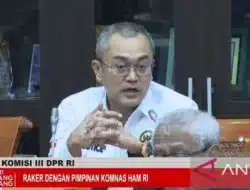 Anggota Komisi III DPR soal Pengakuan 12 Pelanggaran HAM: Jangan sampai berhenti sebatas statement belaka