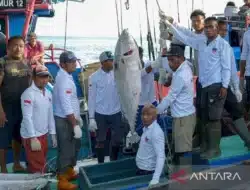 Ikan Tuna Segar dari Biak Papua Di Ekspor ke Narita Jepang