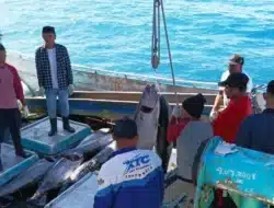 Pemkab Biak Ekspor 7 Ton Ikan Tuna ke Jepang