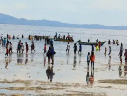 Festival Biak Munara Hadirkan Atraksi Budaya Tradisional Tangkap Ikan di Laut Kering