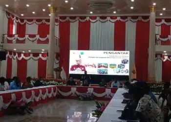 Dialog Refleksi dan Gagasan Pembangunan yang Berpihak Masyarakat Provinsi Papua Pegunungan 1 Dialog